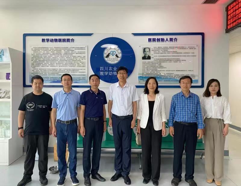 �齫������