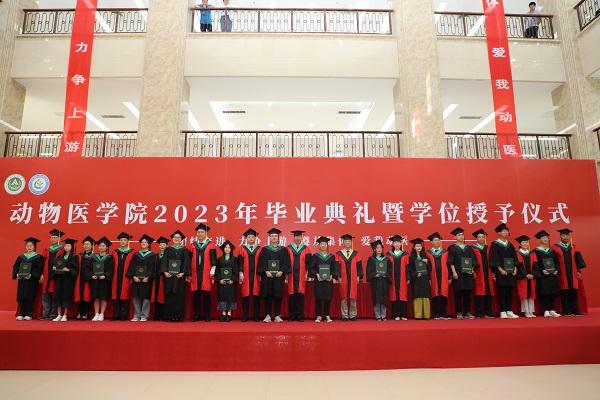 �齫������