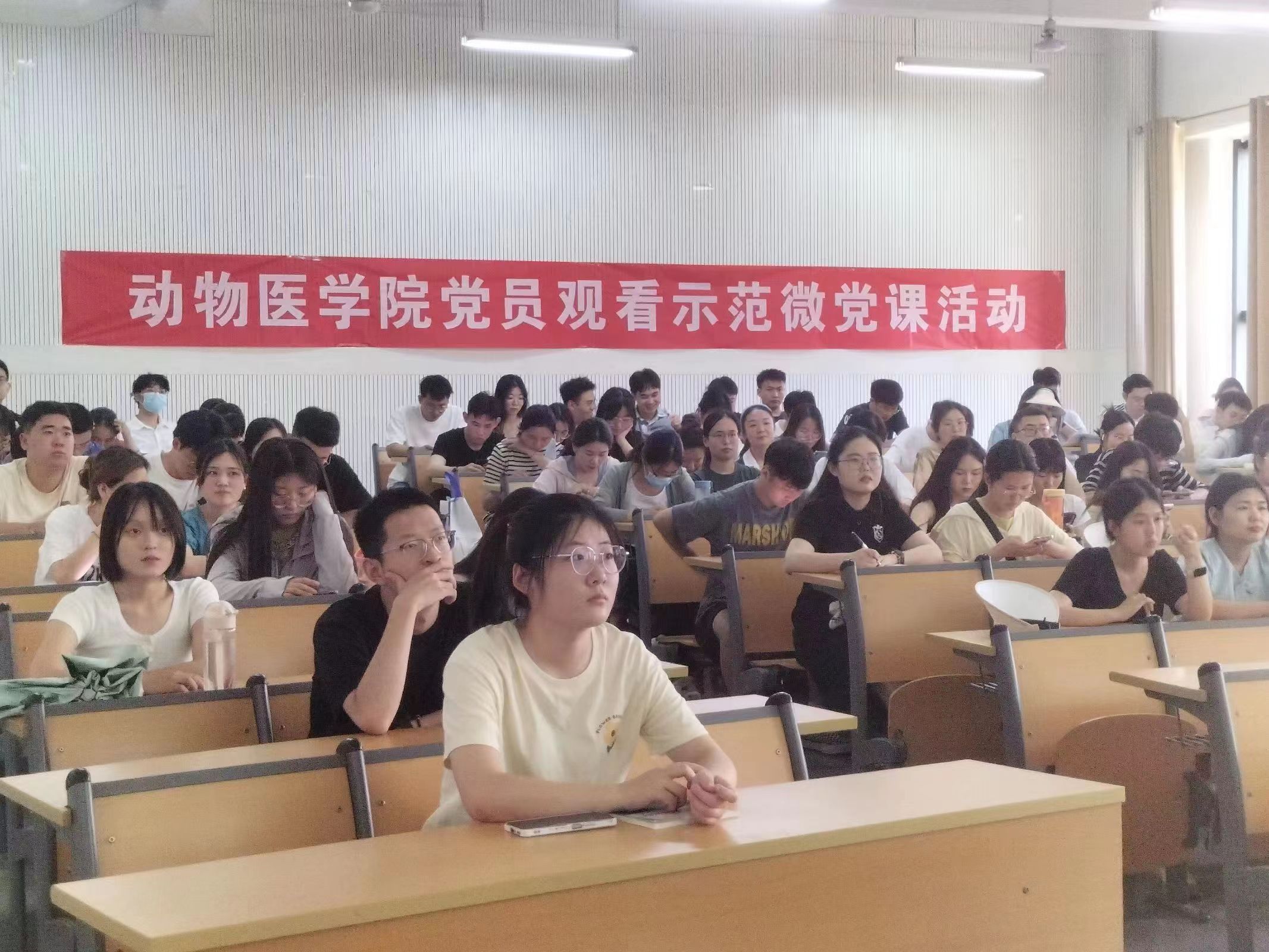 �齫������