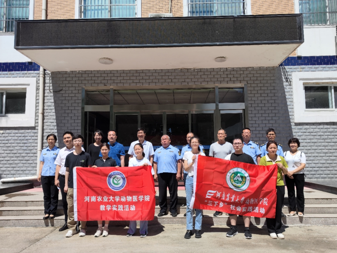 �齫������