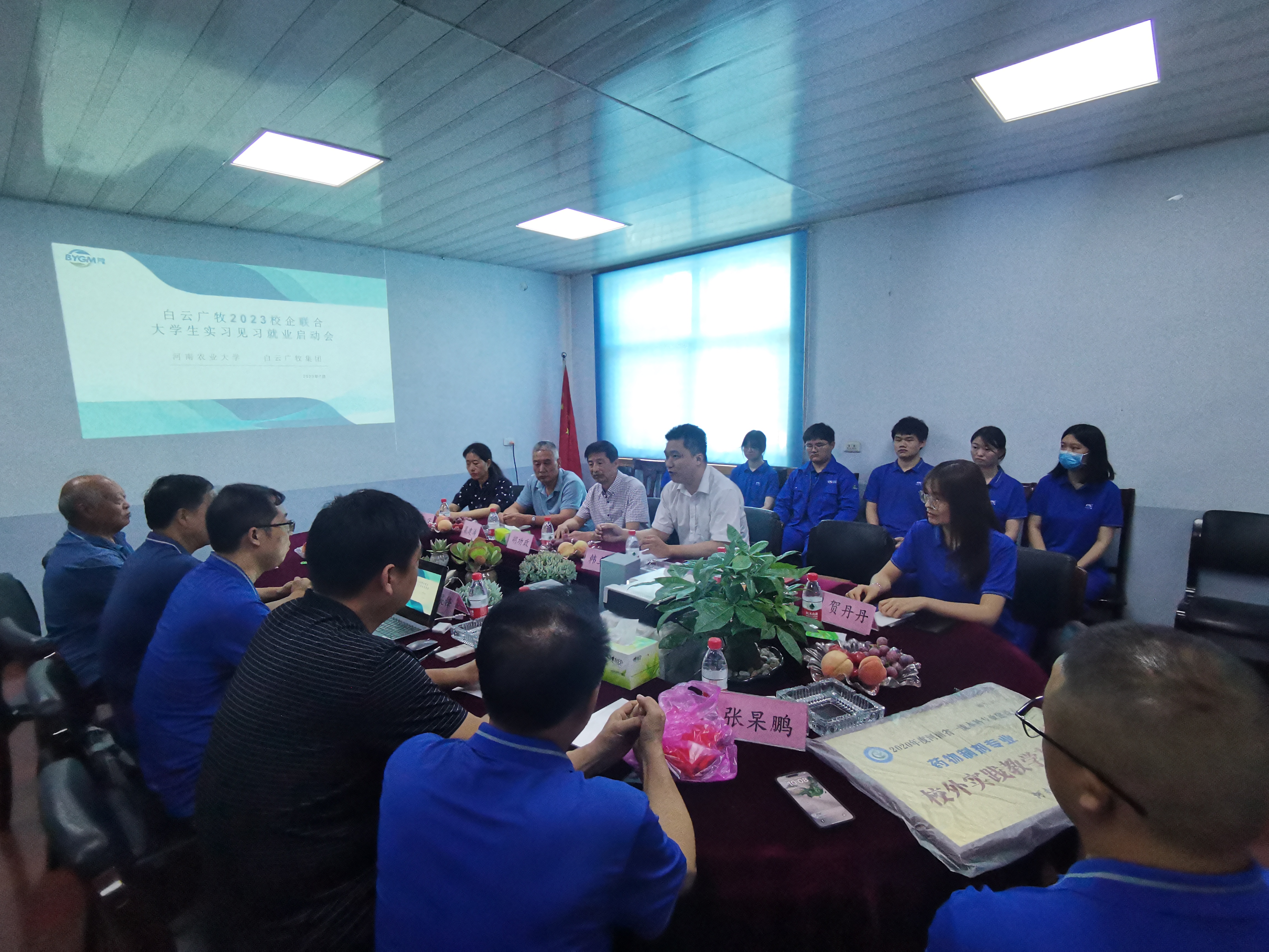 �齫������