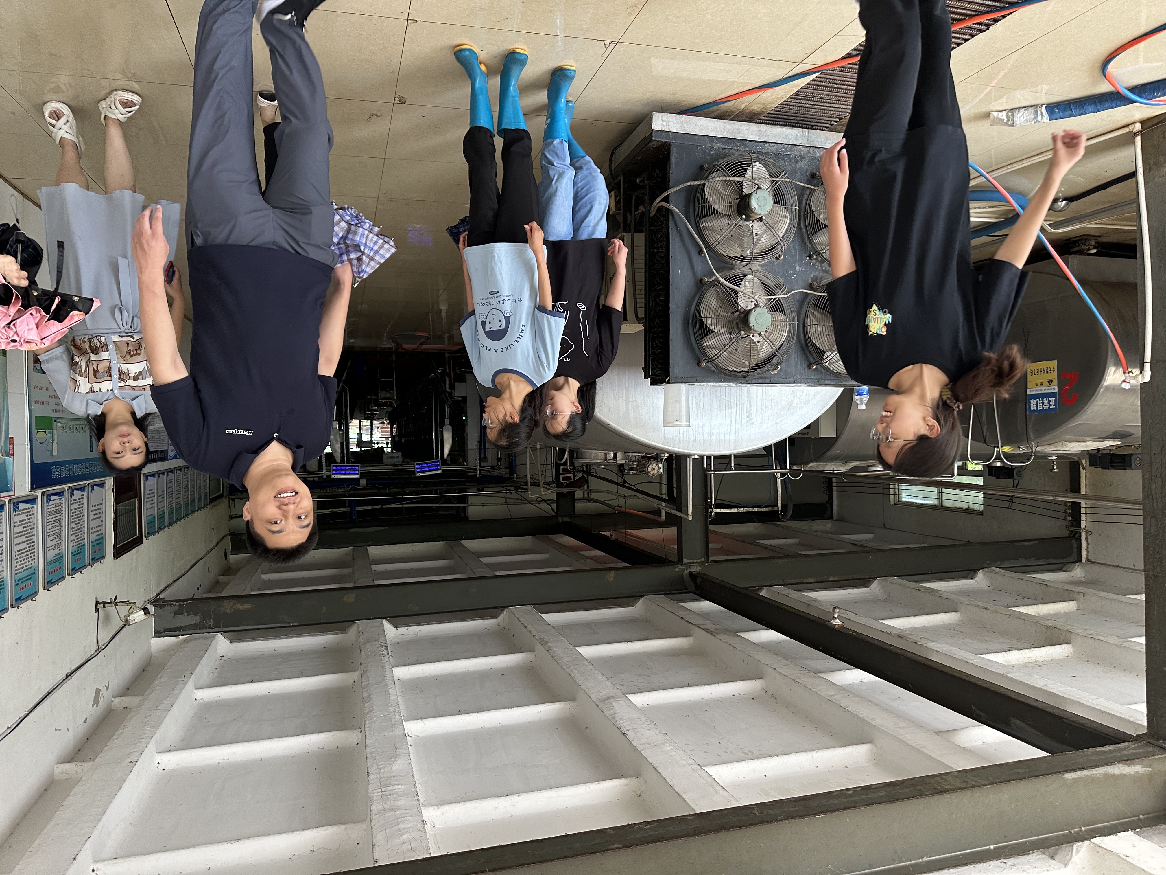 �齫������