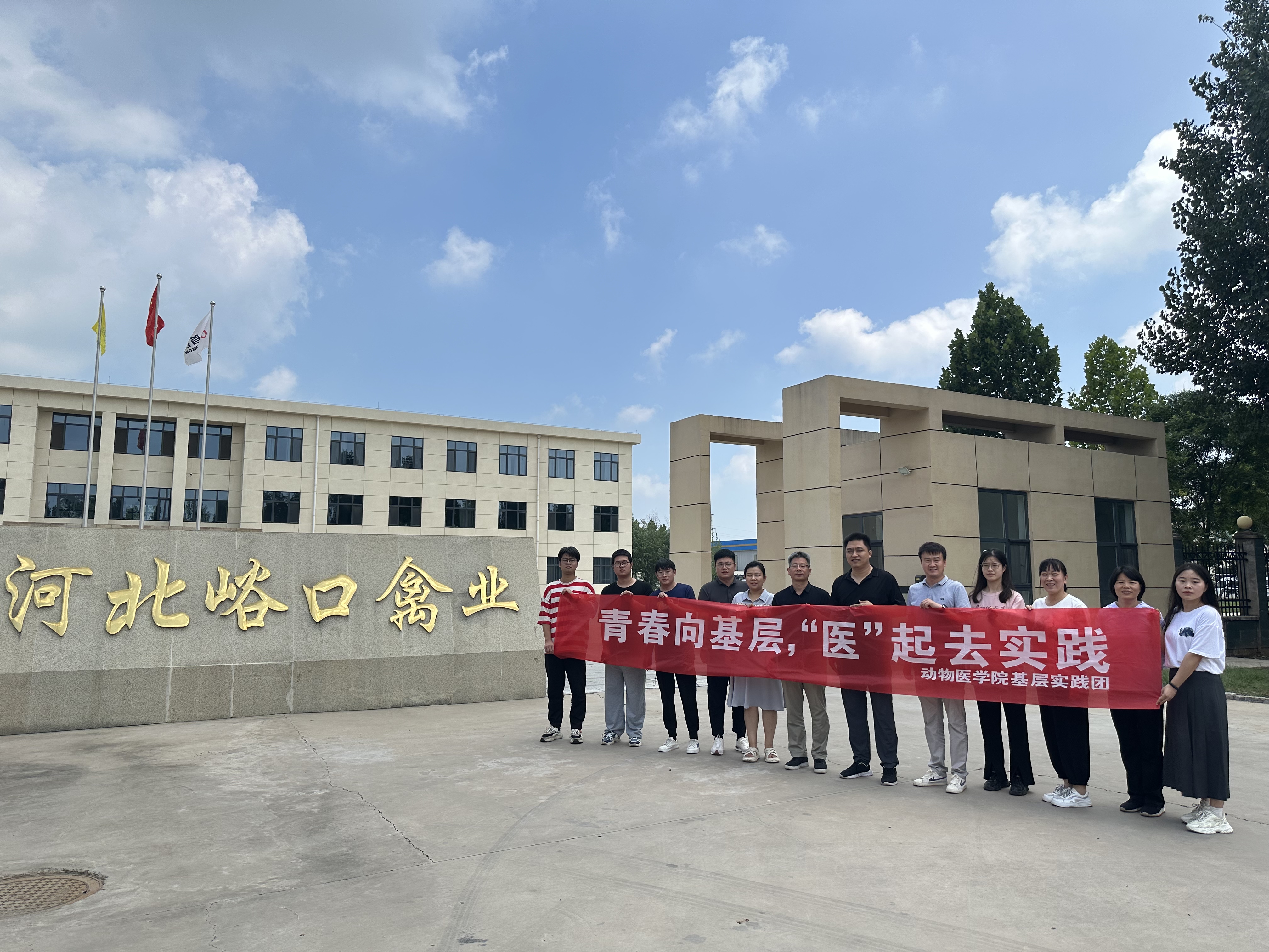 �齫������