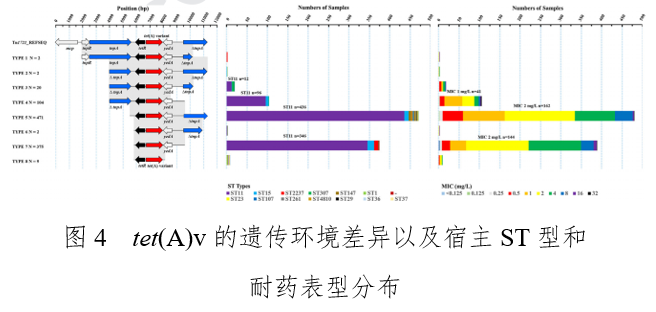 �齫������