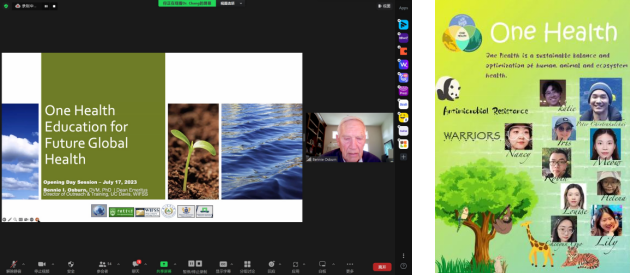 �齫������