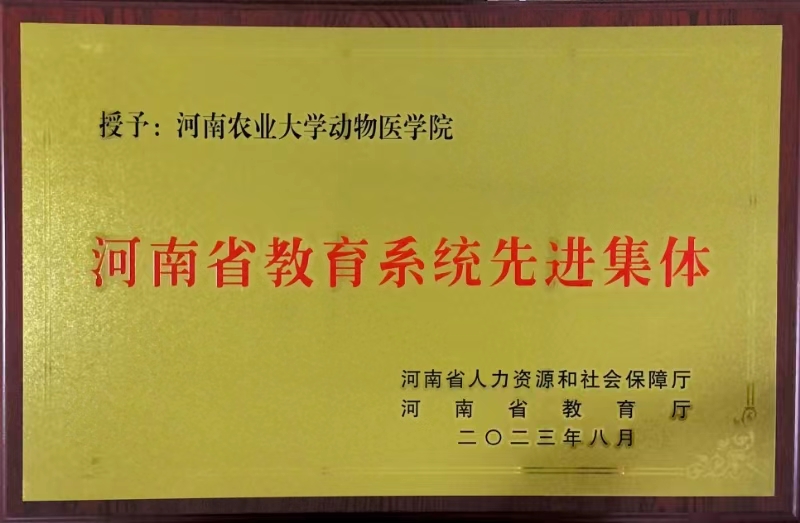 �齫������