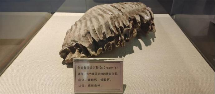 �齫������