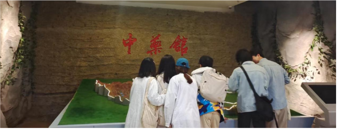 �齫������