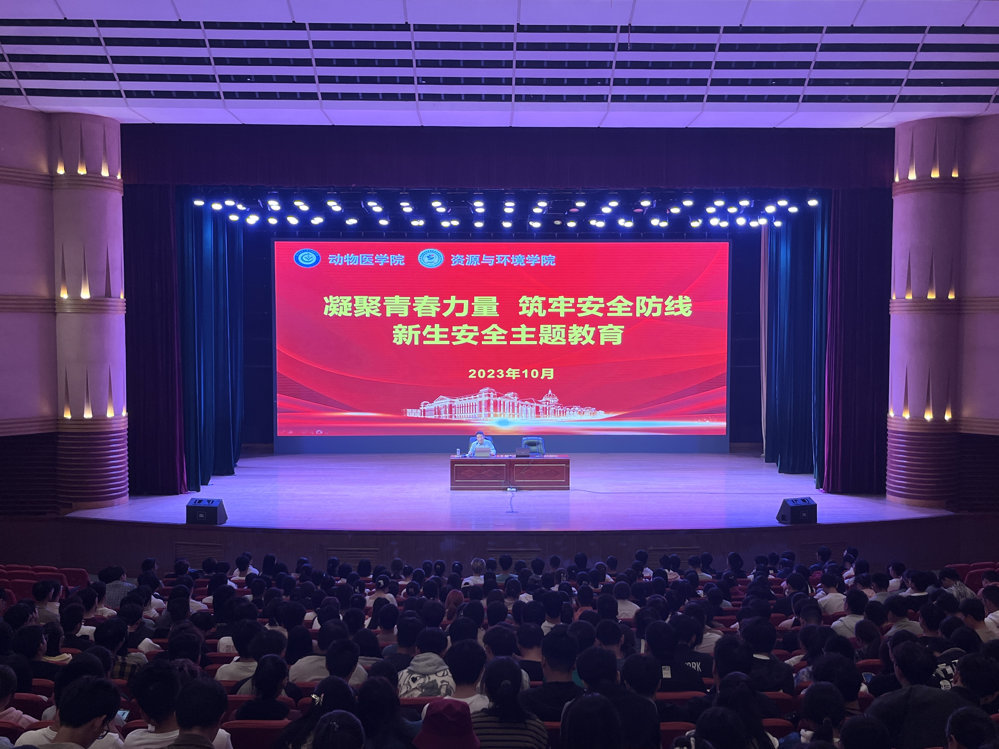 �齫������