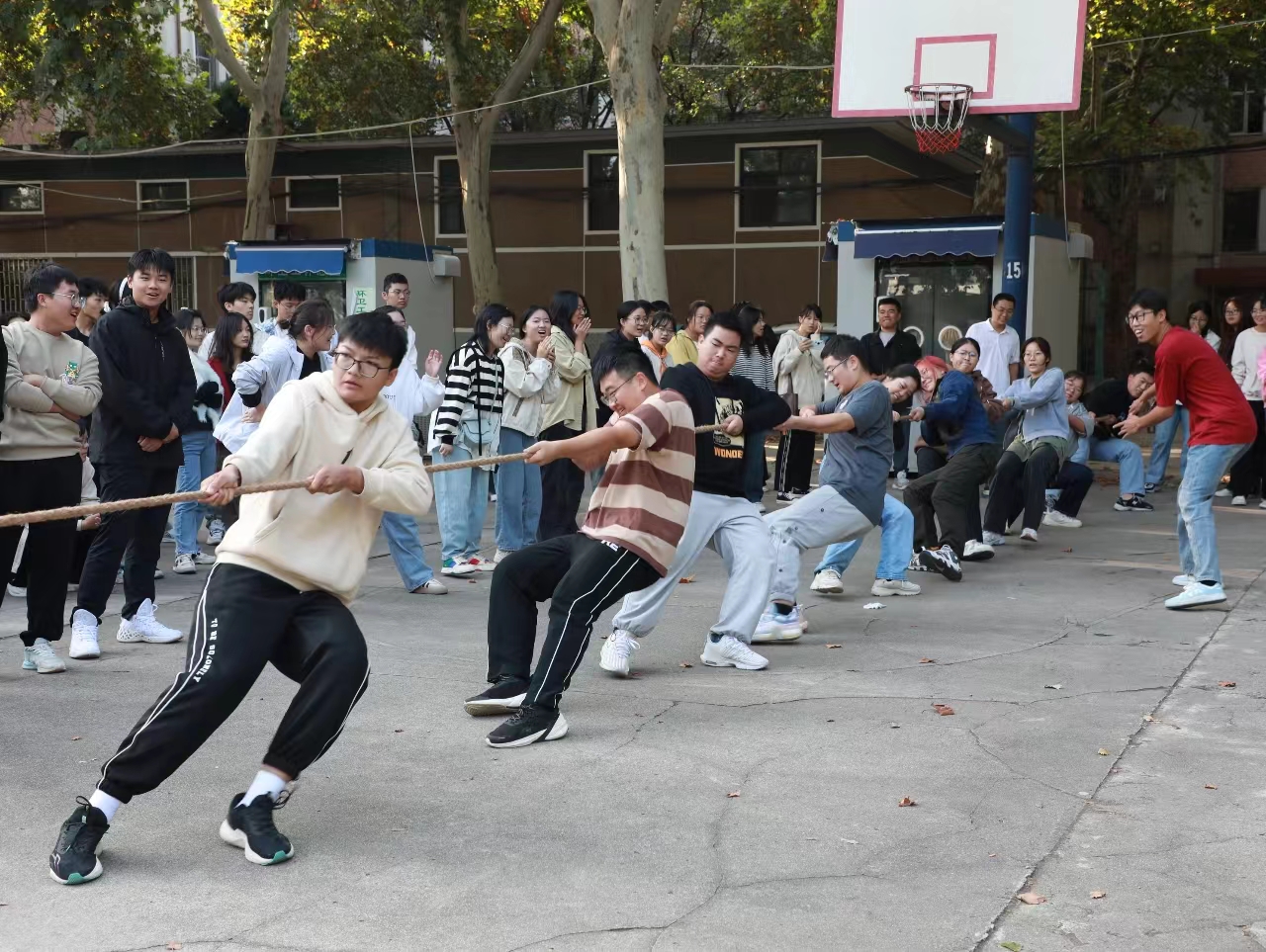 �齫������