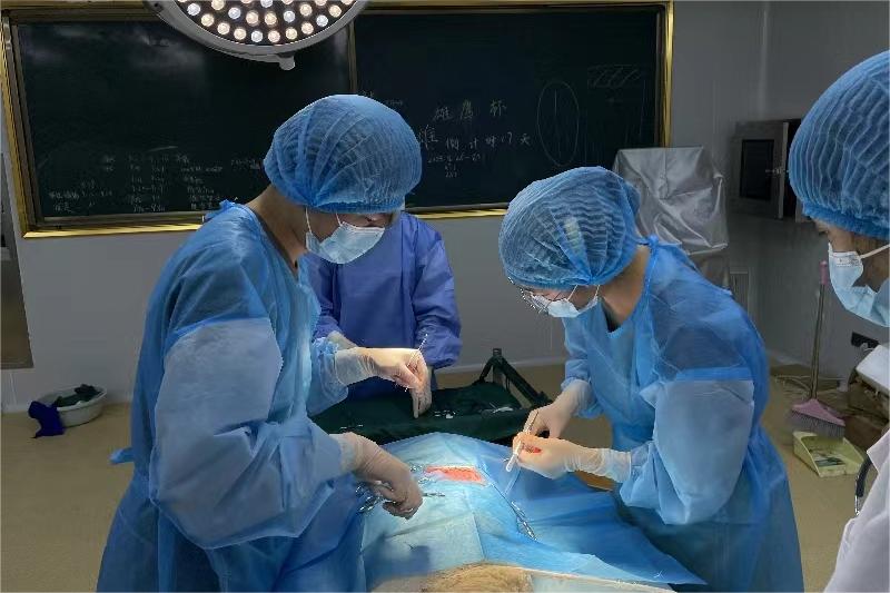 �齫������