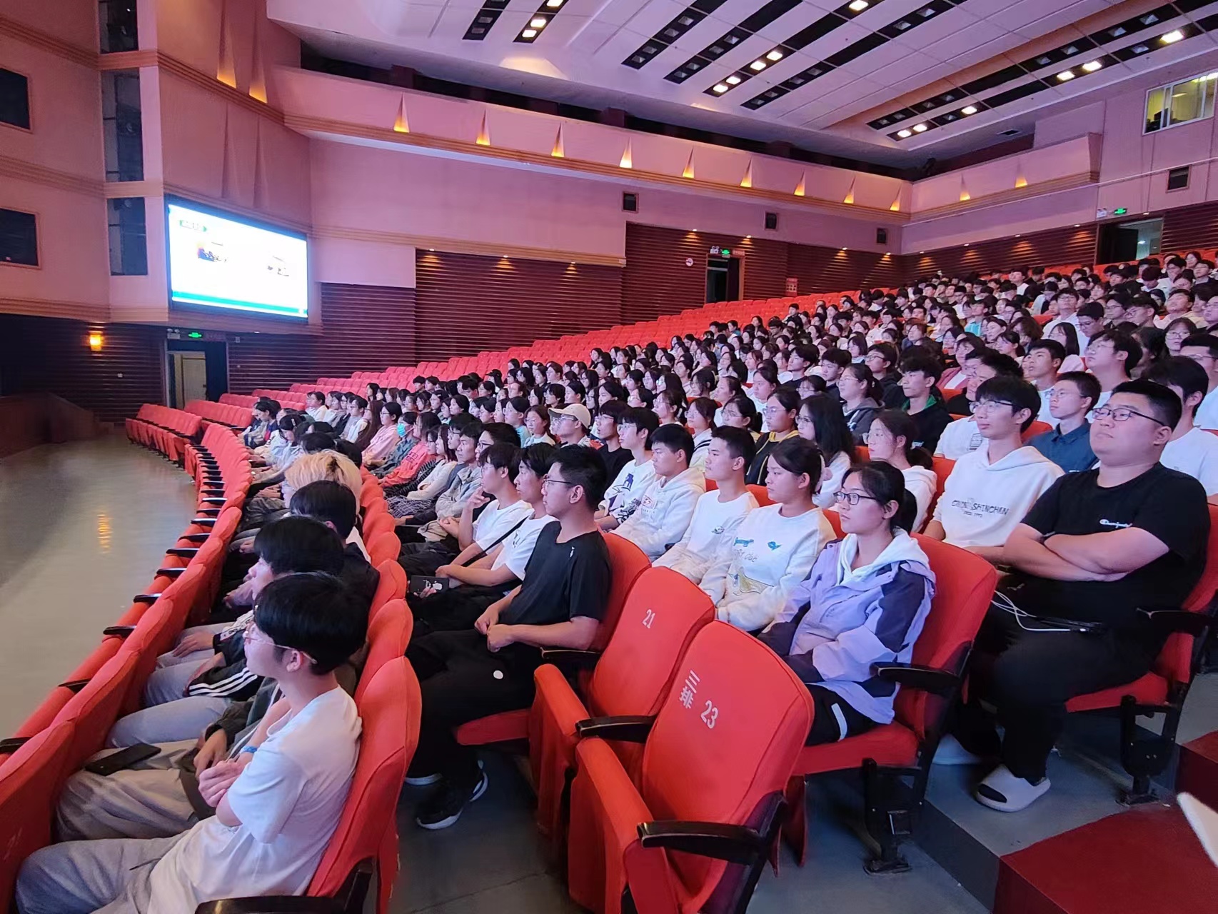 �齫������