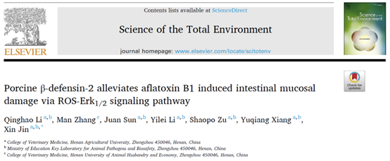 �齫������