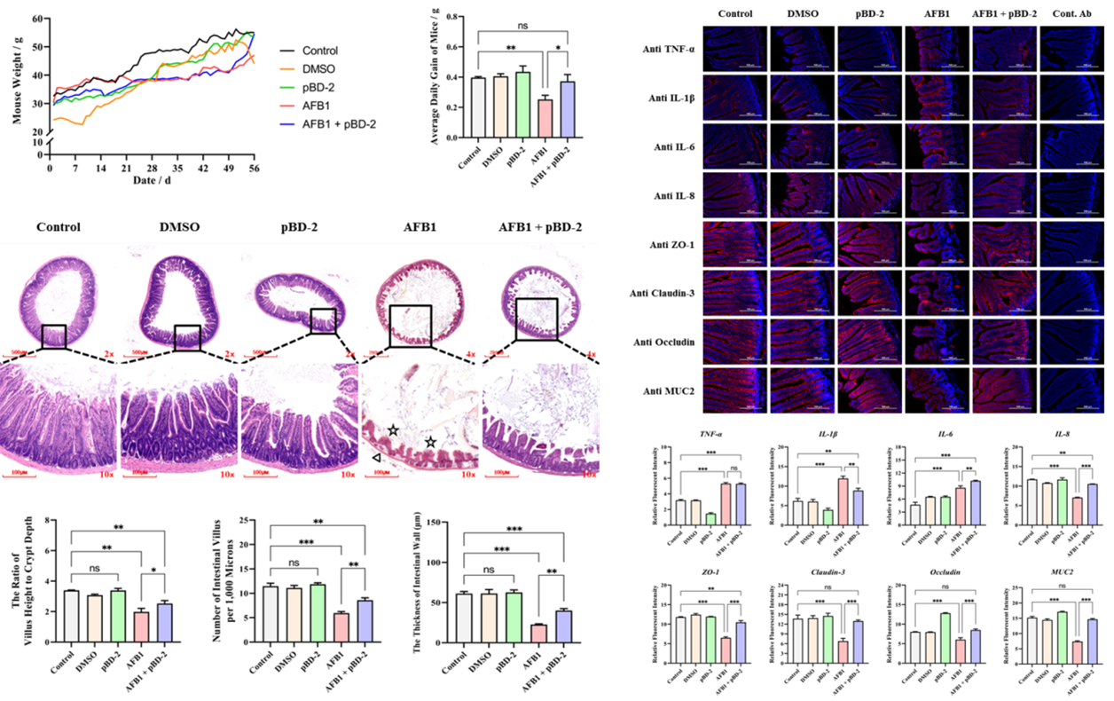 �齫������