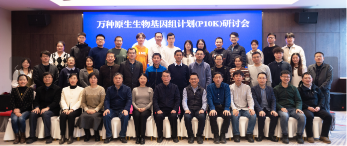 �齫������