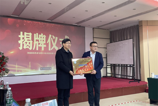 �齫������