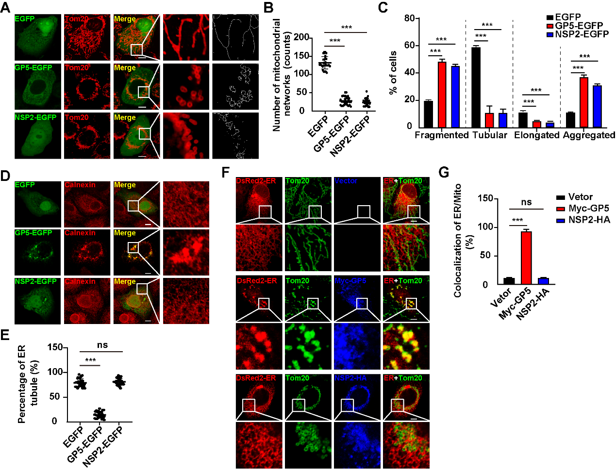 �齫������