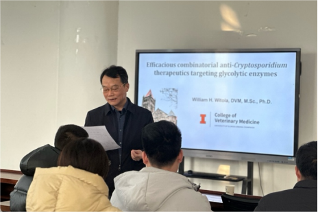 �齫������