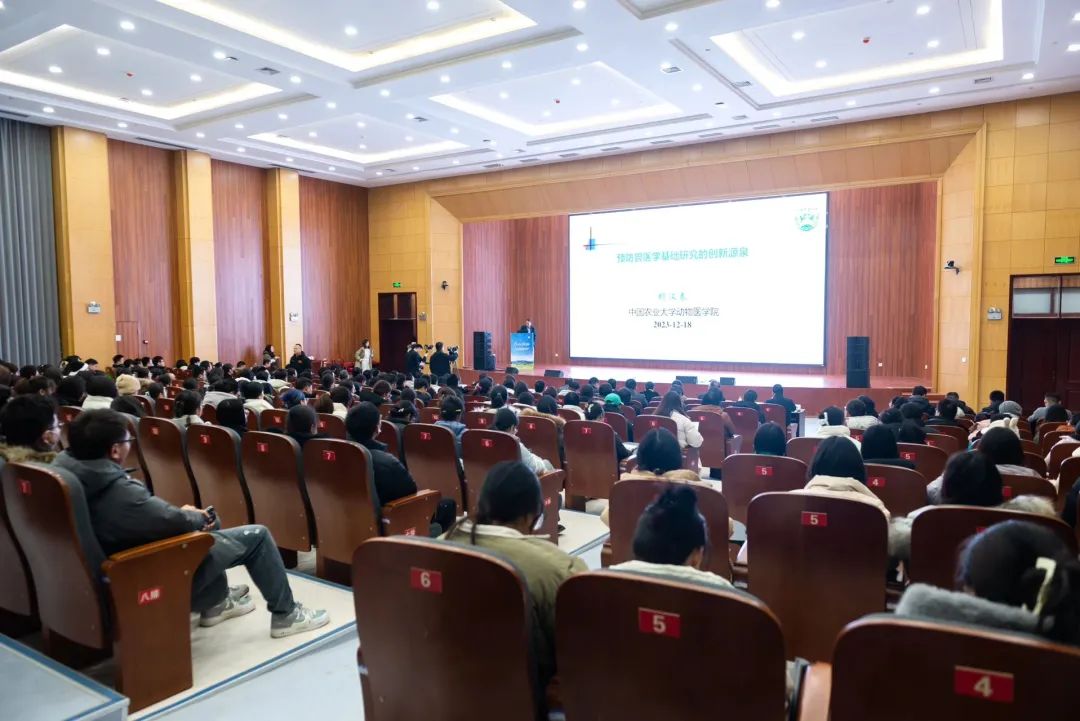 �齫������