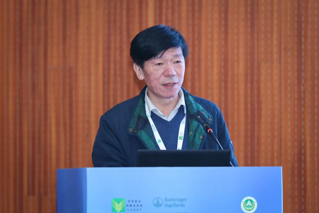 �齫������