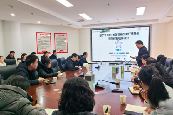 �齫������