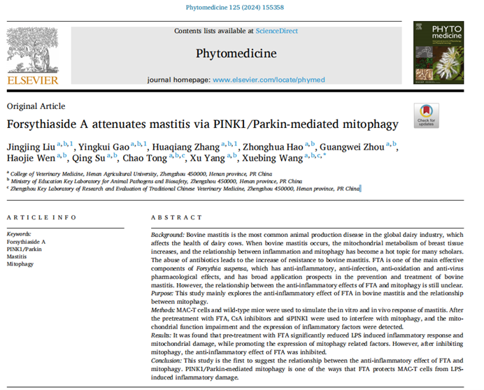 �齫������