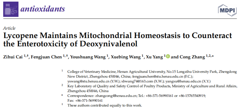 �齫������