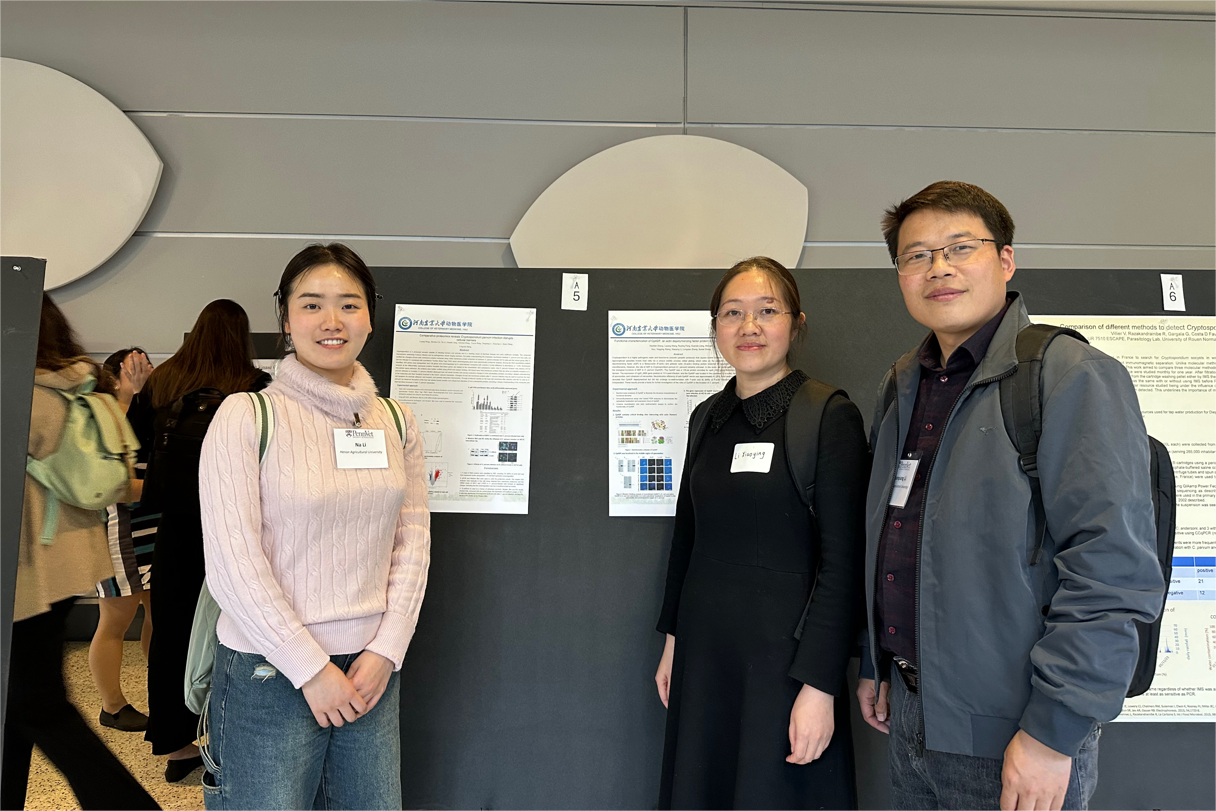 �齫������