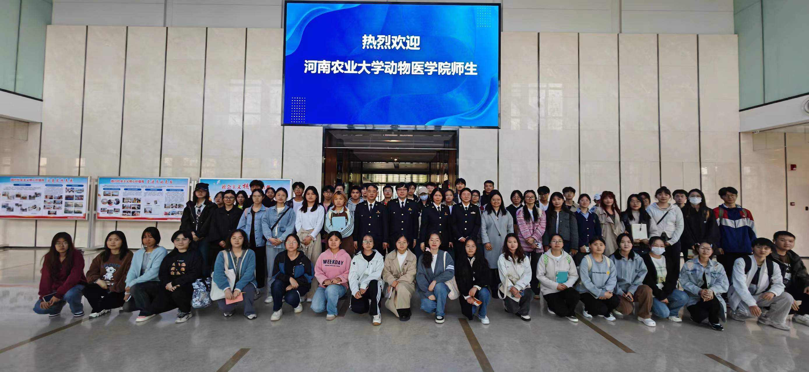 �齫������