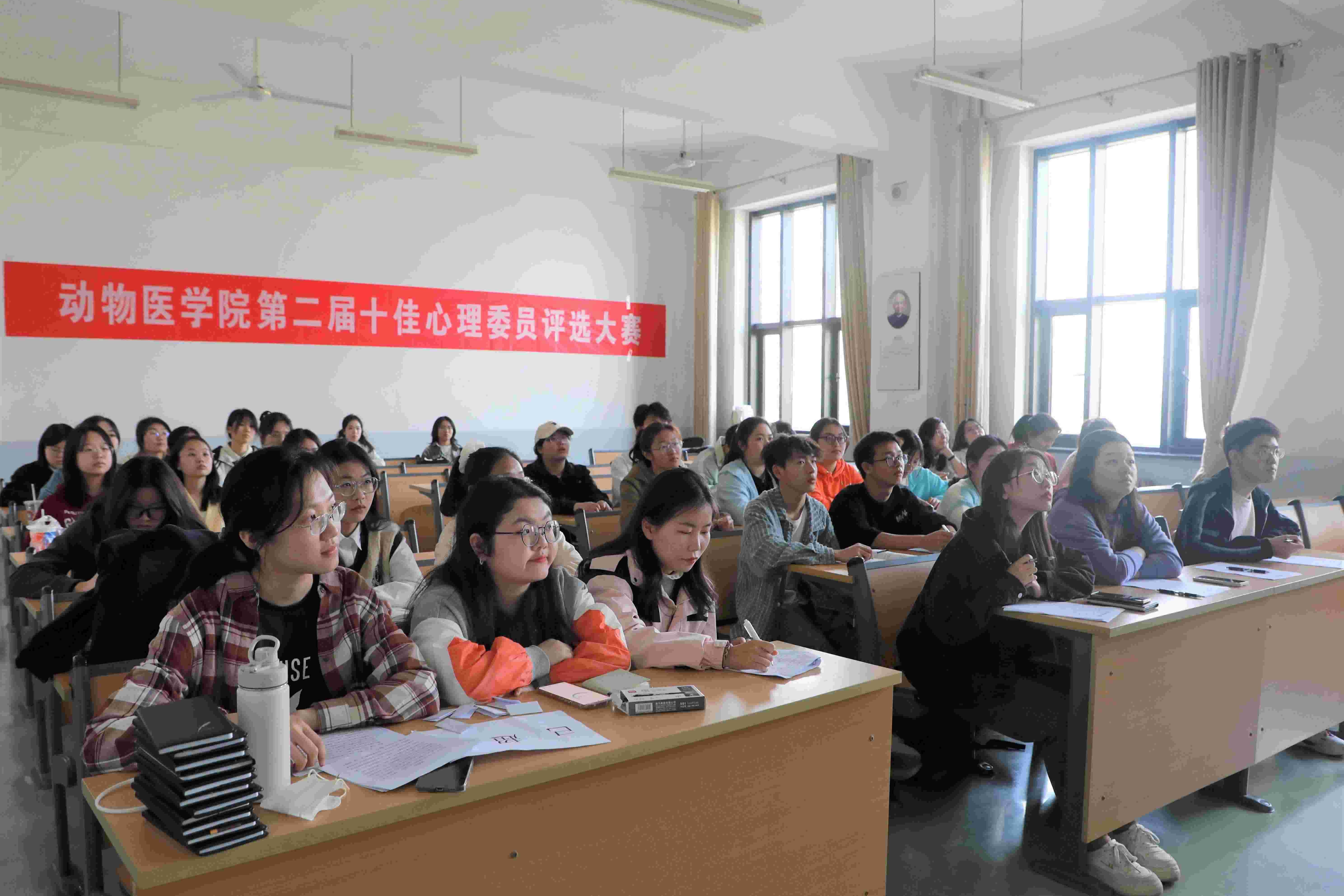 �齫������