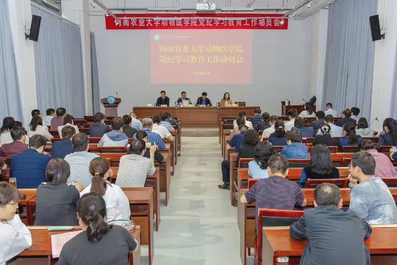 �齫������