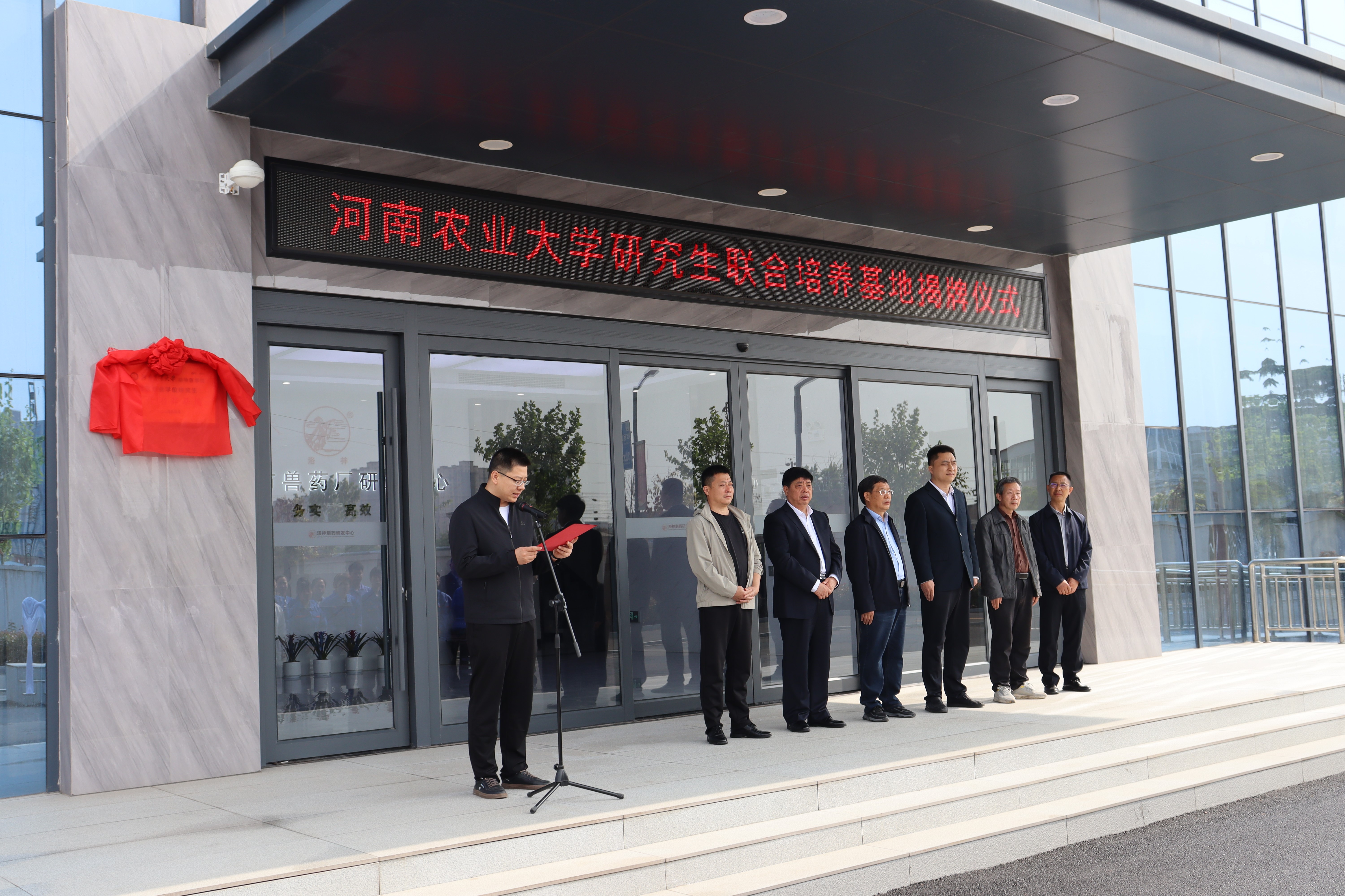 �齫������