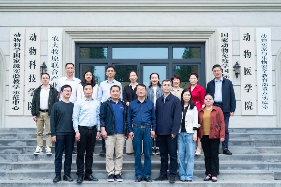 �齫������