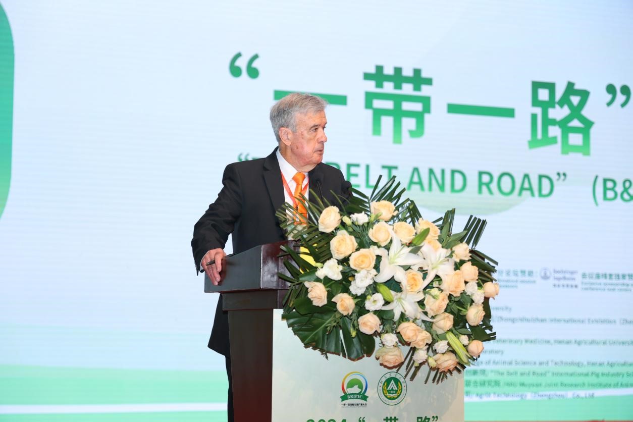 �齫������