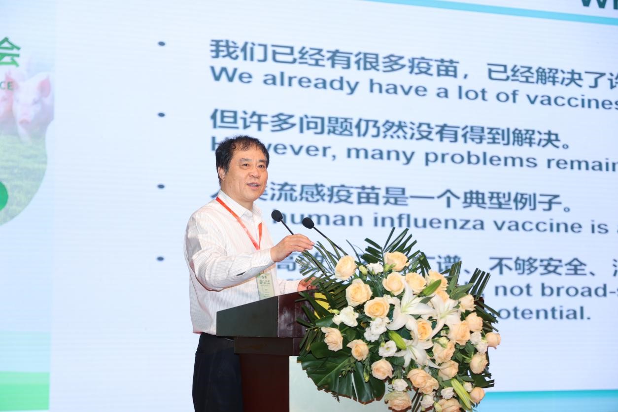 �齫������