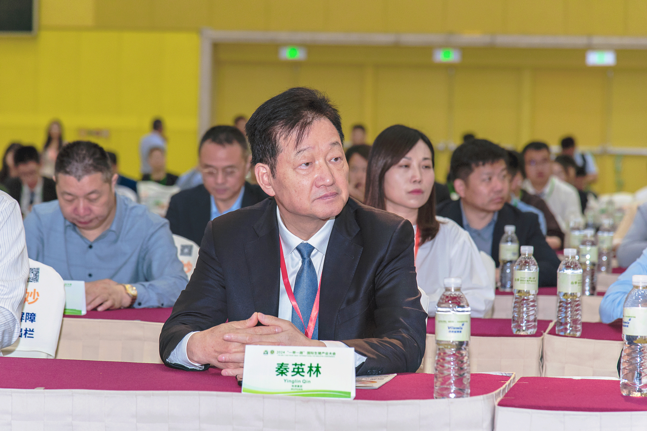 �齫������