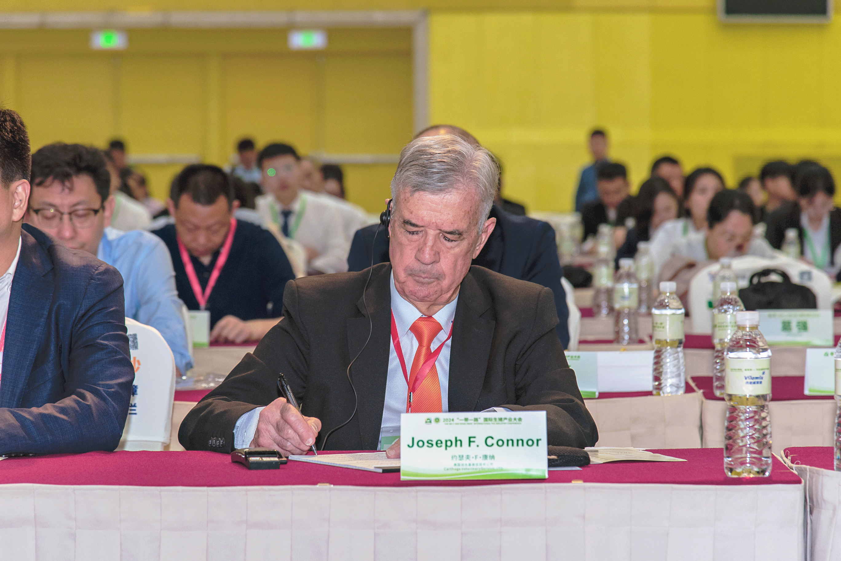 �齫������