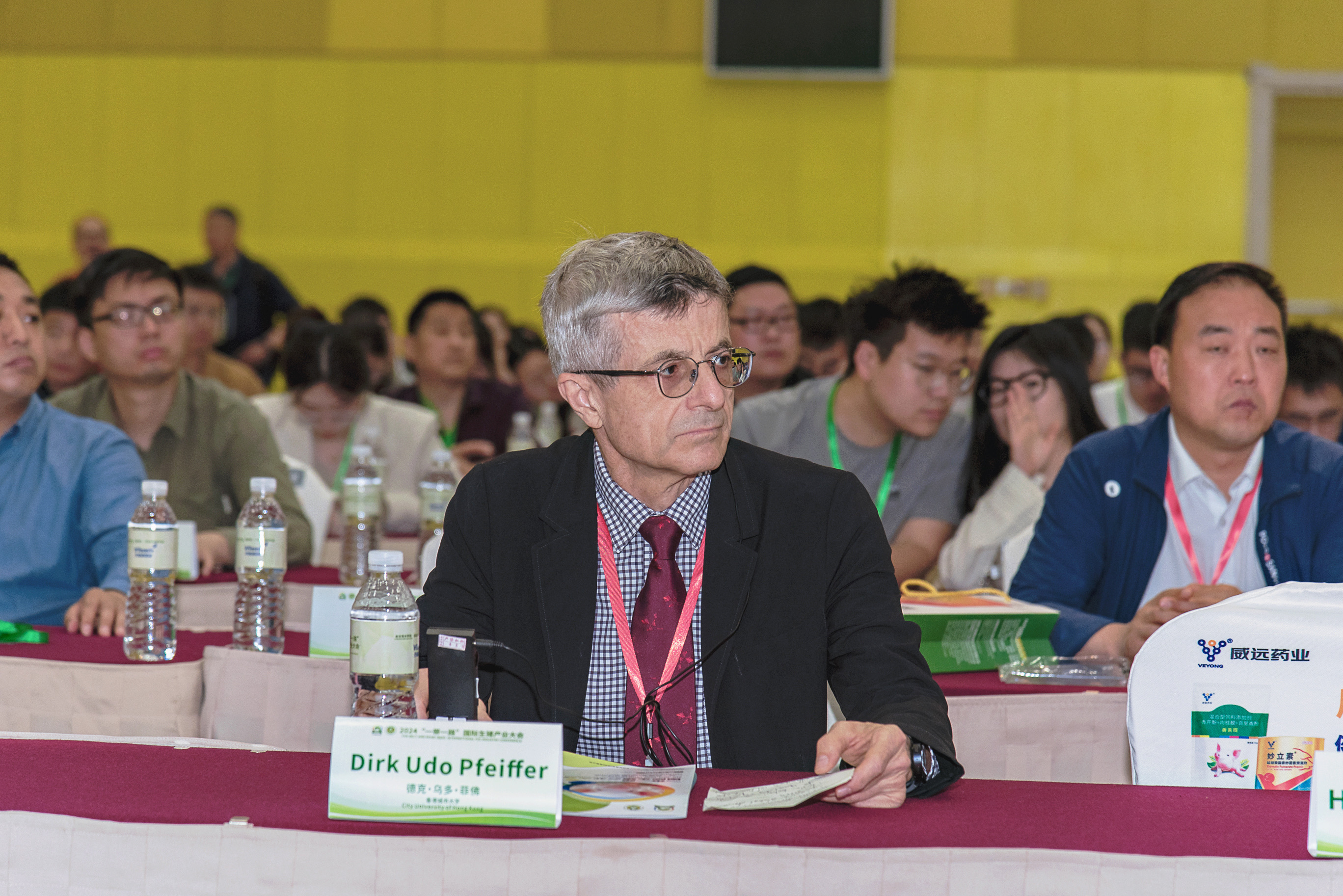 �齫������