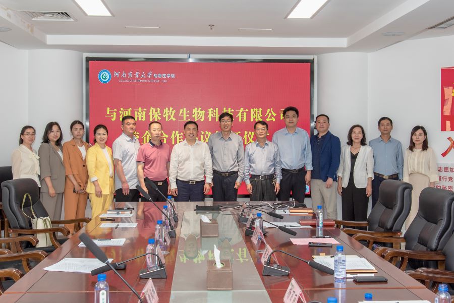 �齫������