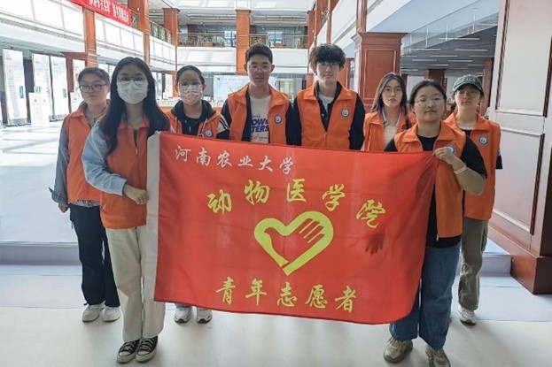 �齫������