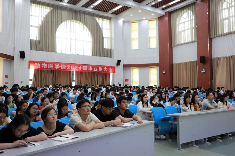 �齫������