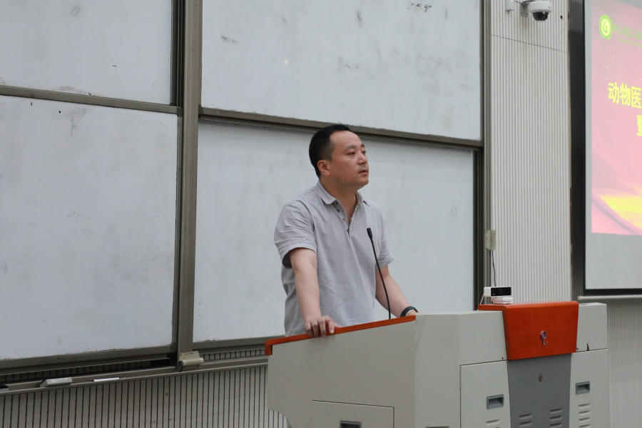 �齫������