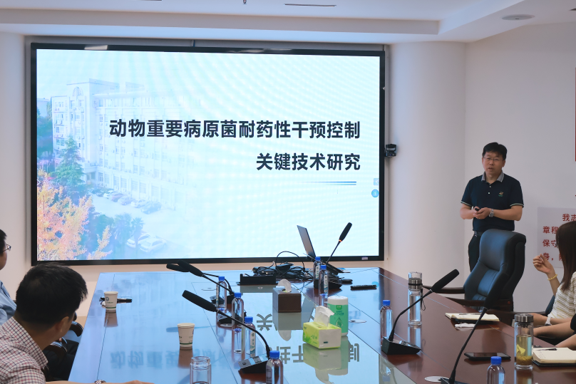 �齫������