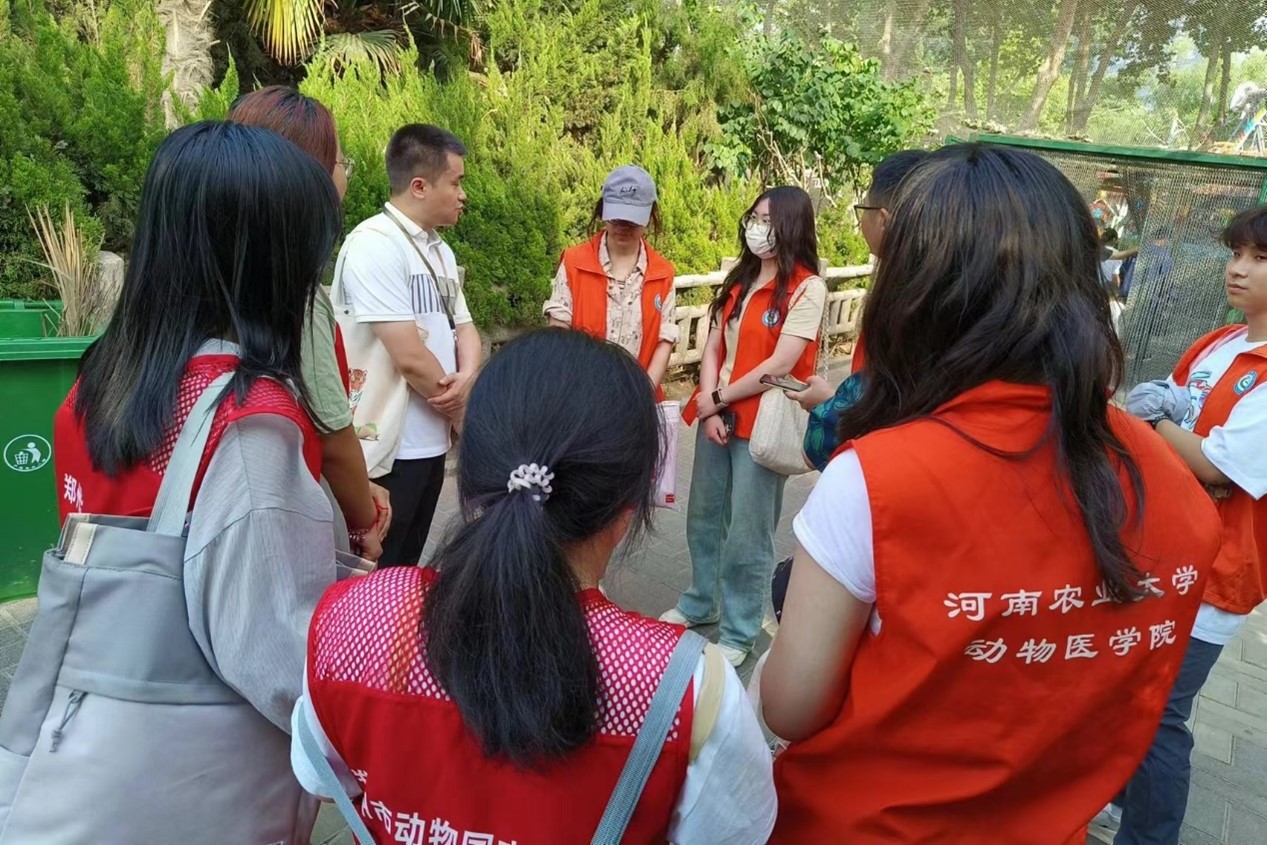 �齫������