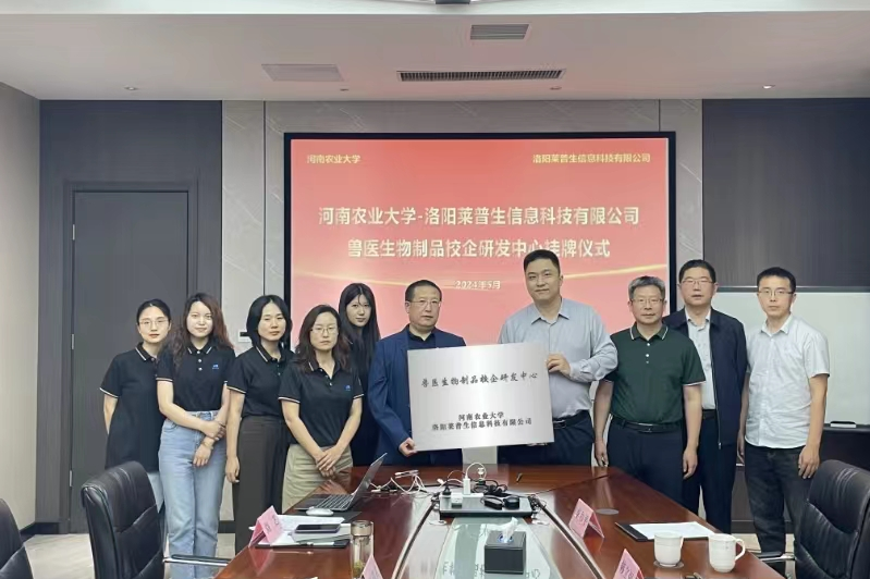 �齫������