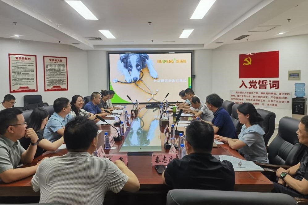 �齫������