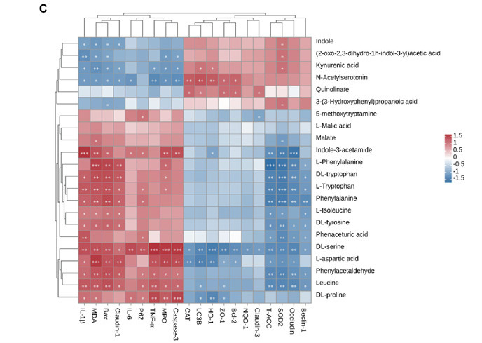 �齫������