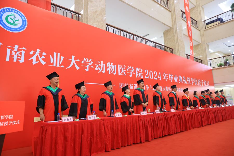 �齫������