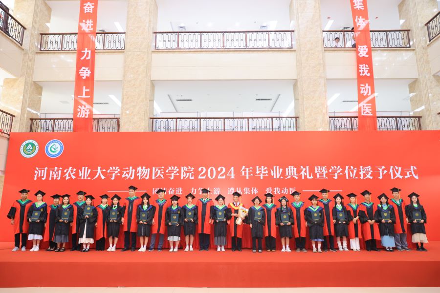 �齫������