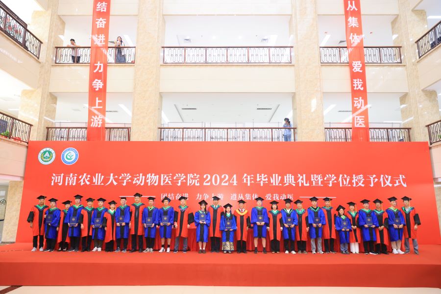 �齫������